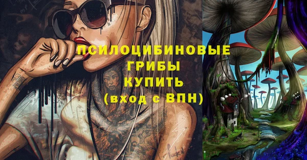 MDMA Premium VHQ Белокуриха