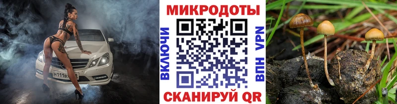 нарко площадка формула  Меленки  Псилоцибиновые грибы мухоморы 